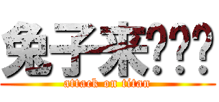 兔子来啪啪啪 (attack on titan)