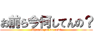 お前ら今何してんの？ (What do you do now?)