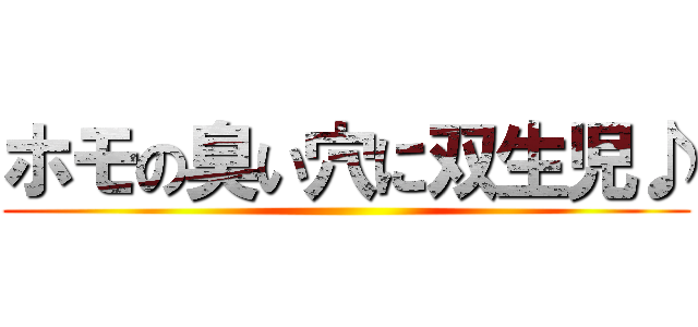 ホモの臭い穴に双生児♪ ()