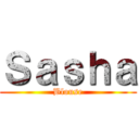 Ｓａｓｈａ (Blouse)