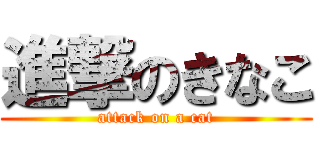 進撃のきなこ (attack on a cat)