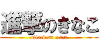 進撃のきなこ (attack on a cat)