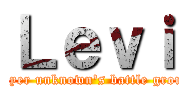 Ｌｅｖｉ (Player unknown's battle ground)