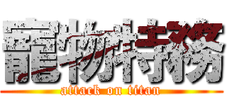 寵物特務 (attack on titan)