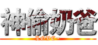 神偷奶爸 (LOVE~)