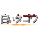 白いタゴウ (White  tago)