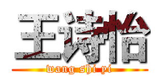 王诗怡 (wang shi yi)