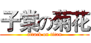 子棠の菊花 (attack on titan)