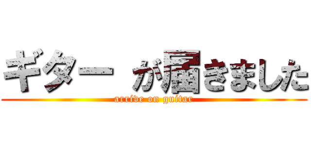 ギター が届きました (arrive on guitar)