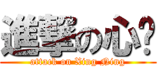 進撃の心宁 (attack on Xing Ning)