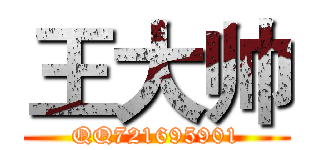 王大帅 (QQ721695901)