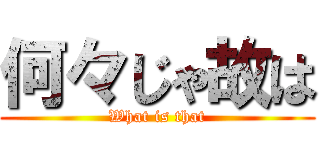 何々じゃ故は (What is that)