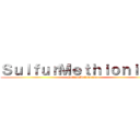 ＳｕｌｆｕｒＭｅｔｈｉｏｎｉｎｅ  (SulfurMethionine )