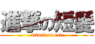 進撃の短髪 (attack on cat)