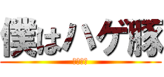 僕はハゲ豚 (空飛ぶ豚)