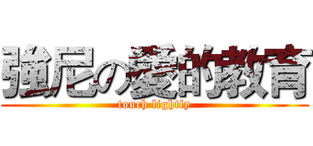 強尼の愛的教育 (touch lightly)