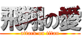 飛翔の愛 (attack on titan)