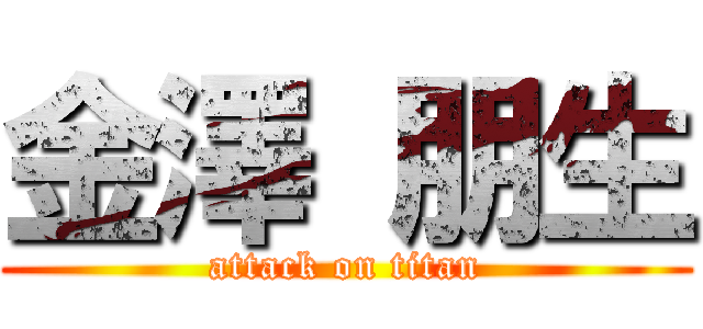 金澤 朋生 (attack on titan)