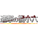 進撃の橘小六 (attack on mikansix)