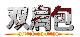双肩包 (attack on titan)