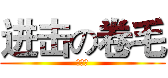 进击の卷毛 (朴俊豪)