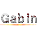 Ｇａｂｉｎ (Gab1)