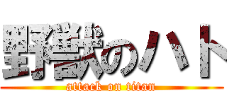 野獣のハト (attack on titan)
