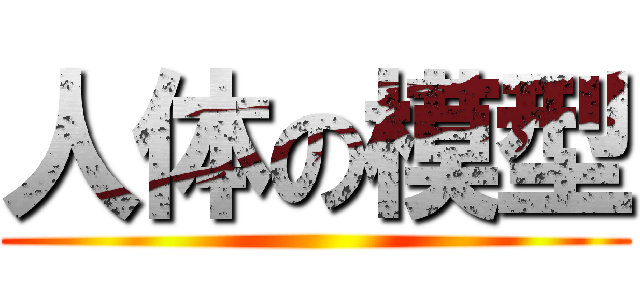 人体の模型 ()