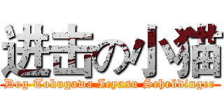 进击の小猫 (Dog Tokugawa Ieyasu Schrödinger)
