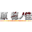 原 穂ノ佳 (home medical care)