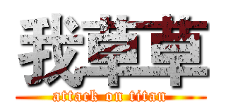 我草草 (attack on titan)