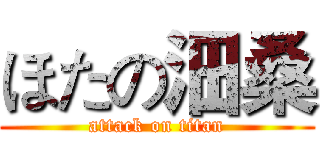 ほたの沺桑 (attack on titan)