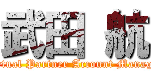 武田 航 (Virtual Partner Account Manager)