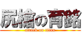 尻槍の育銘 (attack on titan)