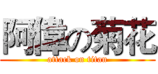 阿偉の菊花 (attack on titan)
