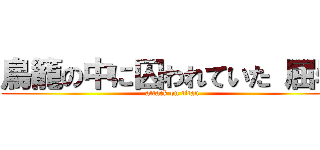 鳥籠の中に囚われていた 屈辱 (attack on titan)