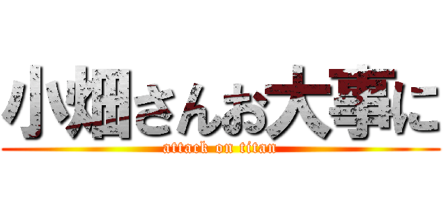 小畑さんお大事に (attack on titan)