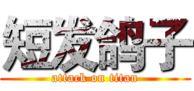 短发鸽子 (attack on titan)