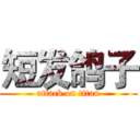 短发鸽子 (attack on titan)