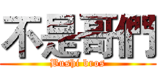不是哥們 (Bushi bros)
