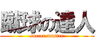 蹴球の達人 (soccer master)