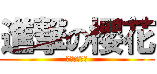 進撃の櫻花 (銀之櫻花綻放)