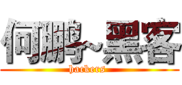 何鹏~黑客 (hackers )