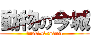 動物の今城 (imaki of animal)