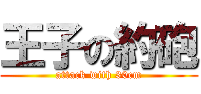 王子の約砲 (attack with 30cm)