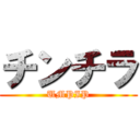 チンチラ (UMPIP)