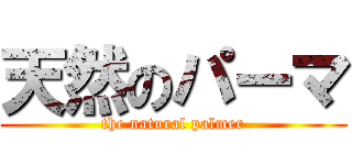 天然のパーマ (the natural palmer)