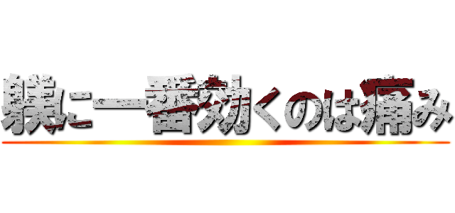 躾に一番効くのは痛み ()