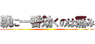 躾に一番効くのは痛み ()