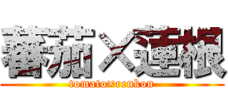 蕃茄×蓮根 (tomato×renkon)